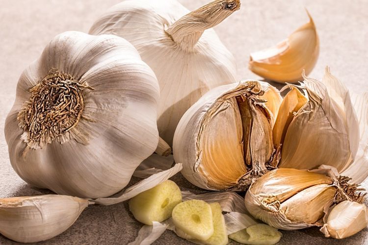 Cara Mudah Mencegah Munculnya Tunas pada Bawang Putih