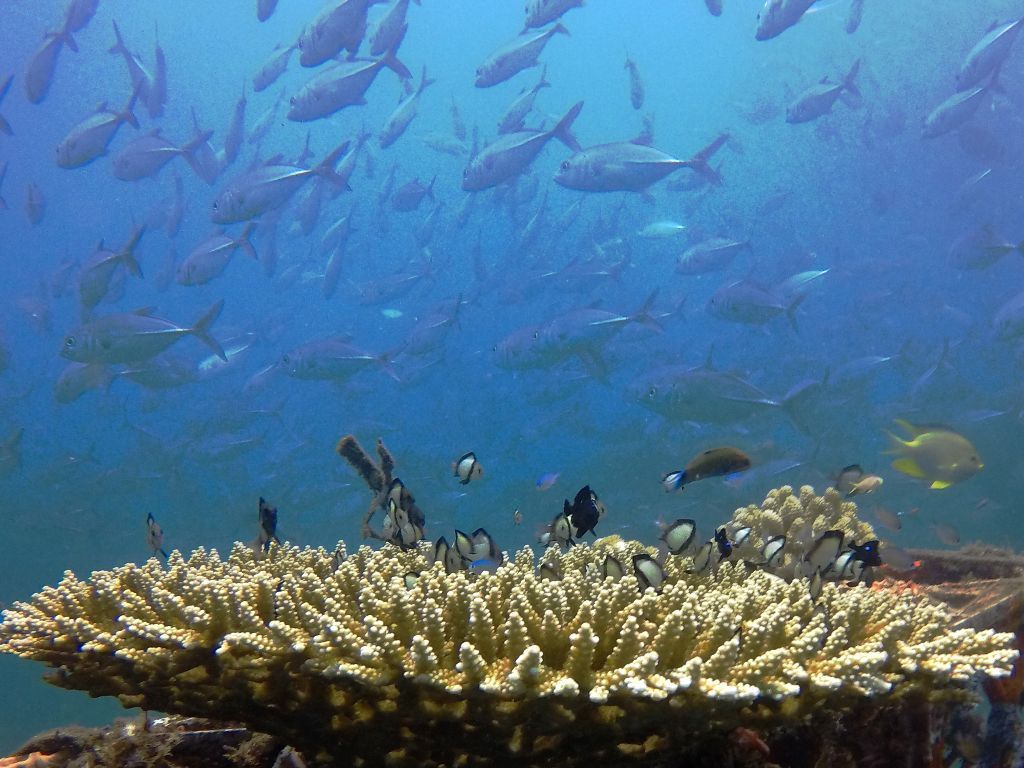 7 Destinasi Wisata Banyuwangi yang Seru dan Ramah Anak: Bikin Liburan Bareng Keluarga Jadi Makin Istimewa!