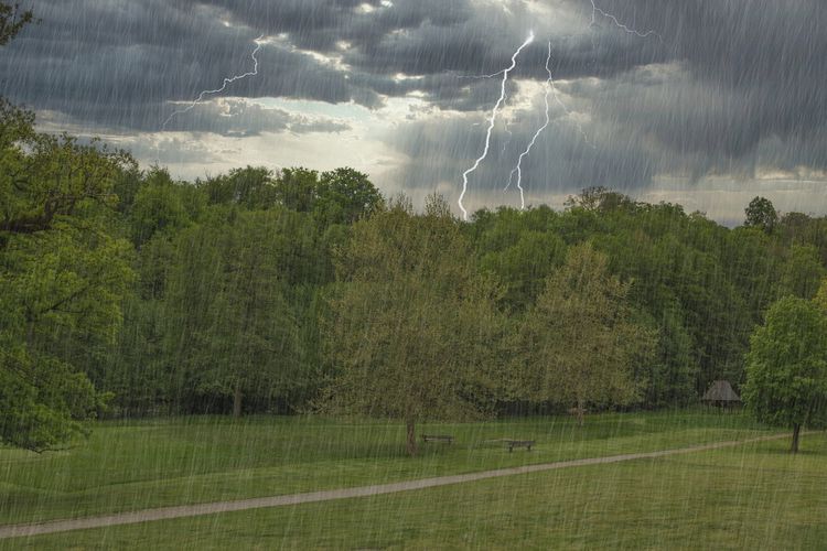 Apa Itu Angin Monsun Asia? Fenomena yang Picu Hujan Lebat dan Cuaca Ekstrem