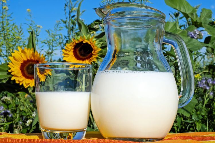 Susu Pasteurisasi Harus Masuk Kulkas, Ini Penjelasan Ahli Gizi Vrischika Chabella