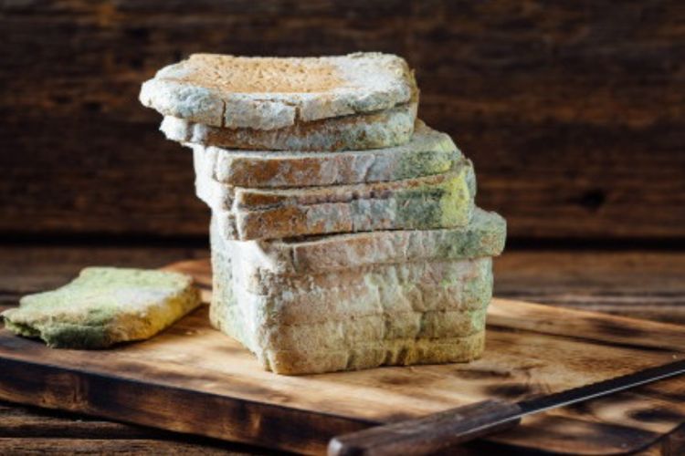 Ini Alasan Roti Berjamur Sudah Tidak Layak untuk Dikonsumsi