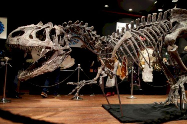Apakah Bahan Bakar Minyak Berasal dari Dinosaurus? Ini Faktanya!