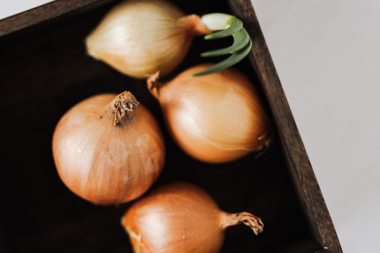 7 Manfaat Bawang Bombai untuk Kesehatan yang Sayang Dilewatkan