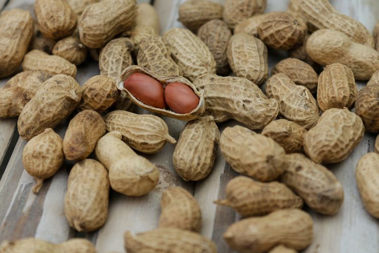 Dua Porsi Kacang Tanah per Hari Ternyata Bisa Tingkatkan Kesehatan Otak Lansia