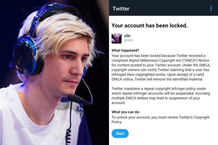 Terkena Masalah DMCA, Akun Twitter dari Streamer xQc Sempat Terkunci!