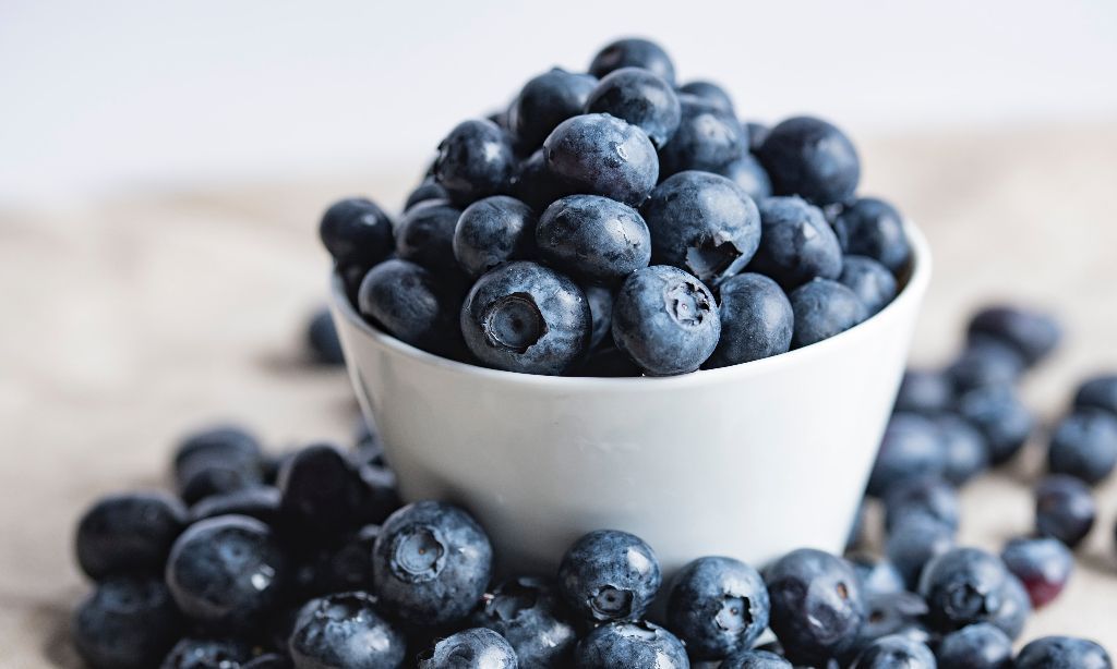8 Manfaat Buah Blueberry untuk Si Kecil yang Wajib Diketahui Ibu