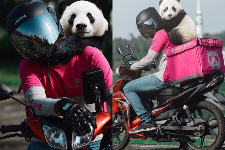 Driver Ojol Ini Bawa 'Panda' Bersamanya di Hari Terakhir Kerja, Warganet Terkesan
