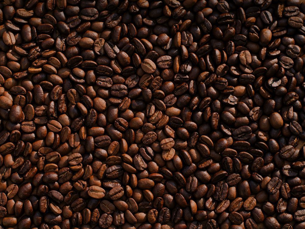 Warga Italia Minati Kopi Aceh, Ada Permintaan hingga 60 Ribu Ton