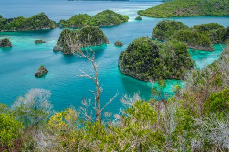 Raja Ampat: Surga Tersembunyi di Timur Indonesia yang Bikin Kamu Nggak Mau Pulang