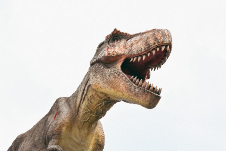 Studi Ungkap Waktu yang Dibutuhkan Tyrannosaurus Rex hingga Menjadi Karnivora Raksasa Seberat 8 Ton