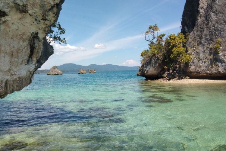 Polemik IUP di Kawasan Raja Ampat, Pakar Energi Beberkan Fakta-faktanya