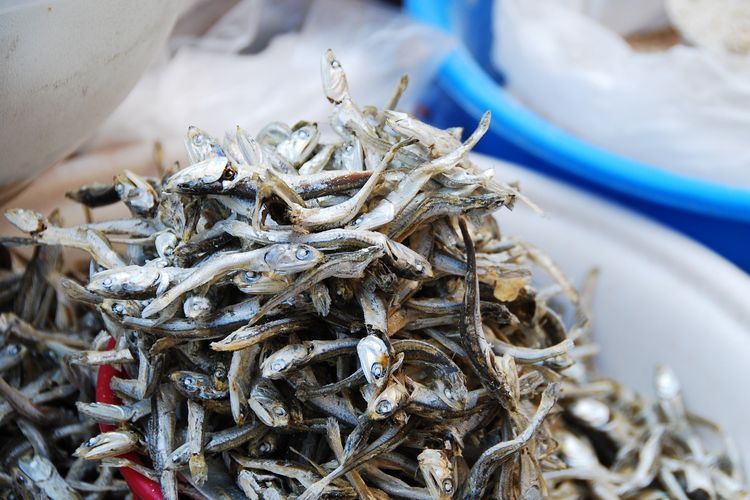 10 Sumber Makanan yang Mengandung Kalsium Tinggi selain Susu