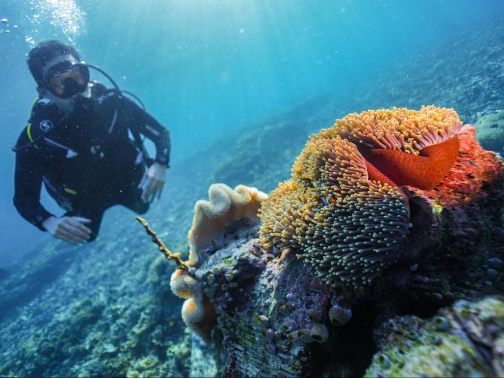 Misi Mustahil: Itinerary 3D2N Raja Ampat di Bawah 3 Juta, Emang Bisa?