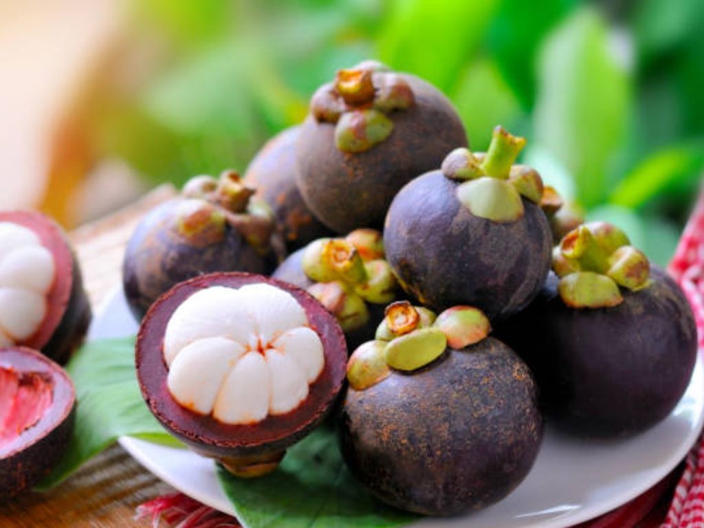 5 Khasiat dan Keutamaan Buah Manggis untuk Kesehatan