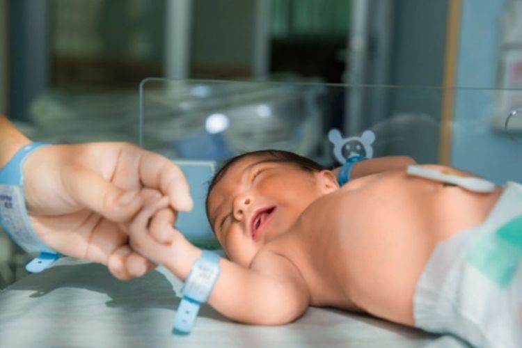 Ingin Program Bayi Tabung? Dokter Ingatkan Pentingnya Menilai Cadangan Ovarium