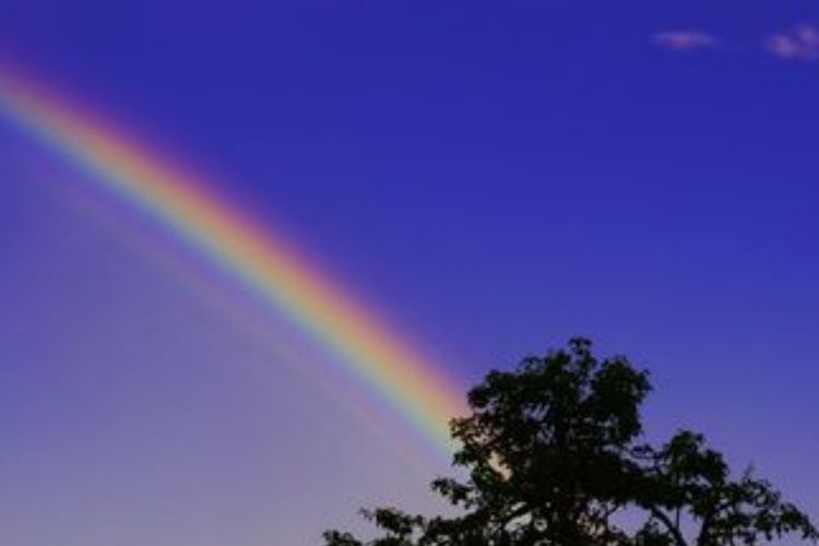 Terungkap! Ini Penyebab Awan Pelangi yang Viral di Bogor