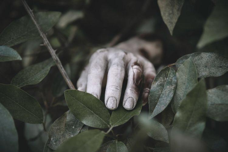 Psikologi Forensik Ungkap Mengapa Remaja Bisa Jadi Pembunuh