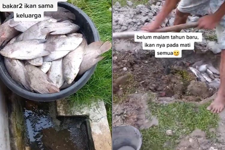 Viral Curhat Netizen Gagal Bakar Ikan di Malam Tahun Baru karena Ikan di Kolam Mati Semua