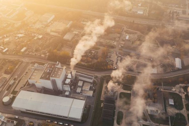 5 Fakta Menarik Global Warming yang Perlu Kamu Tahu, Ancaman Nyata untuk Masa Depan