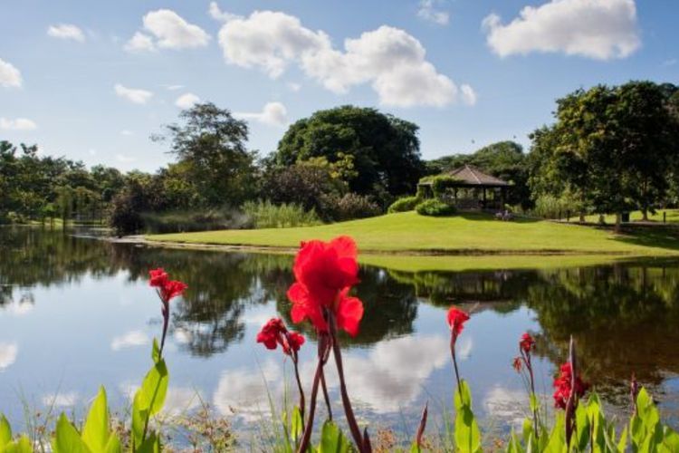 10 Destinasi Favorit Wisatawan Indonesia saat Liburan ke Singapura