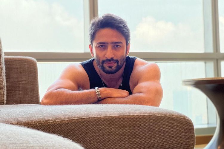Kembali ke Indonesia, Shaheer Sheikh Ngebet Ingin Ketemu Ayu Ting Ting