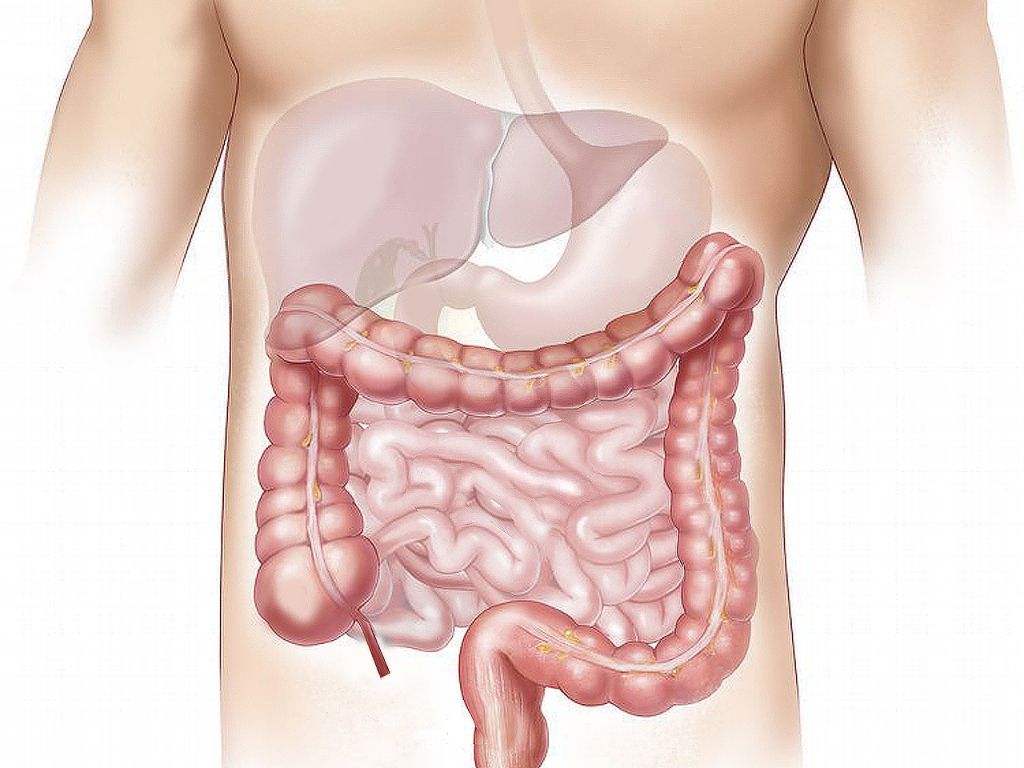 Jangan Sepelekan! 6 Penyebab Metabolisme Lambat yang Masih Sering Diabaikan