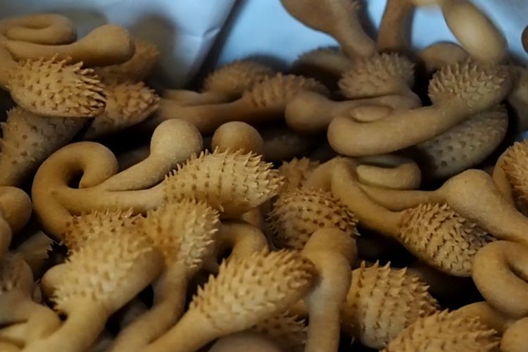 Kue 'Berduri' Suguhan Idulfitri Anti Pakai Pengembang dan Mentega, Ini Sebabnya! 
