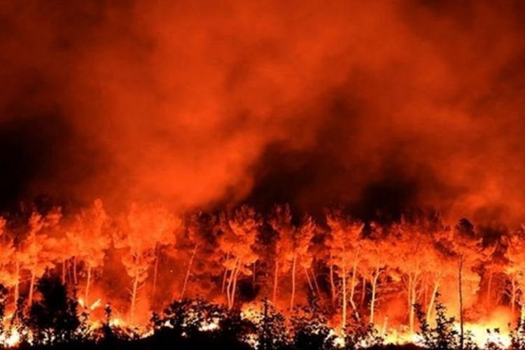 Studi: Perubahan Iklim Sebabkan Kematian 546 Ribu Orang Tiap tahun!