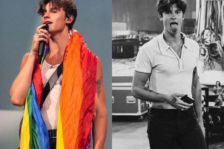 Usai Kibarkan Bendera LGBT, Shawn Mendes Menunda Tur untuk Fokus pada Kesehatan Mental