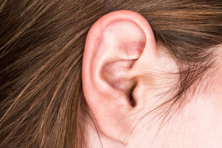 Telinga Sakit Tapi Bukan Infeksi? Bisa Jadi Rahang atau Gigi yang Bermasalah