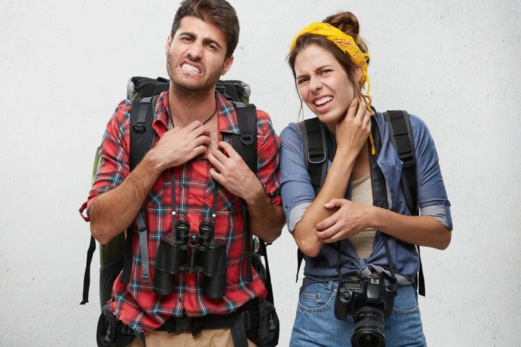 Fakta Unik: Kulit Kering Lebih Sering Jadi Sasaran Empuk Nyamuk, Loh!