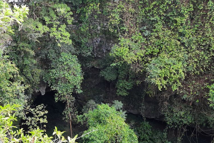 Goa Jomblang Wisata Alam Eksotis dengan Cahaya Surga di Gunungkidul