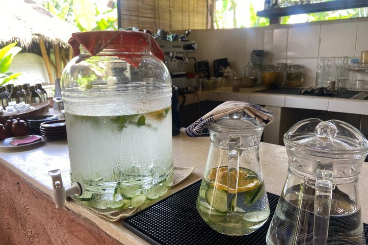 17 Ide Nama Usaha Infused Water Lemon Timun yang Nyegerin