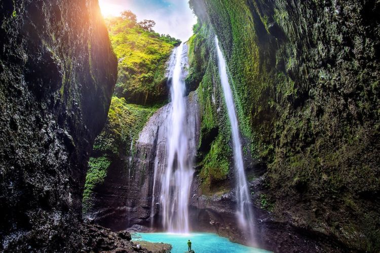 5 Rekomendasi Tempat Trekking yang Lagi Hits di Bogor: Dari Bukit Paniisan hingga Kawah Ratu