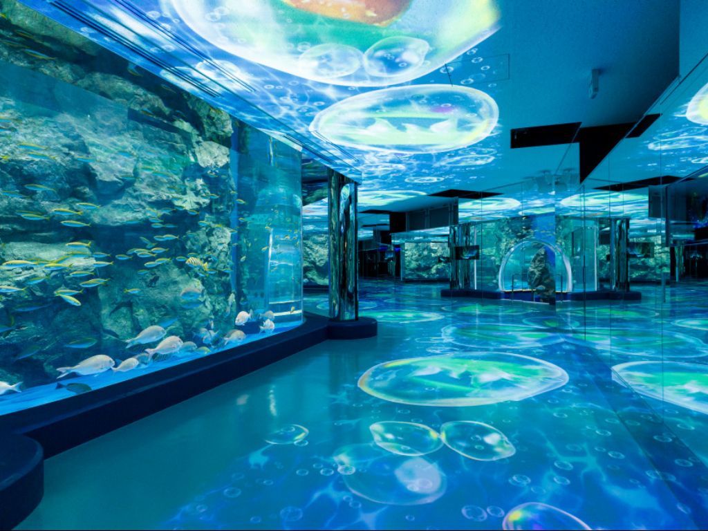 Wisata Jakarta Aquarium 2022: Lokasi, Harga Tiket dan Rute