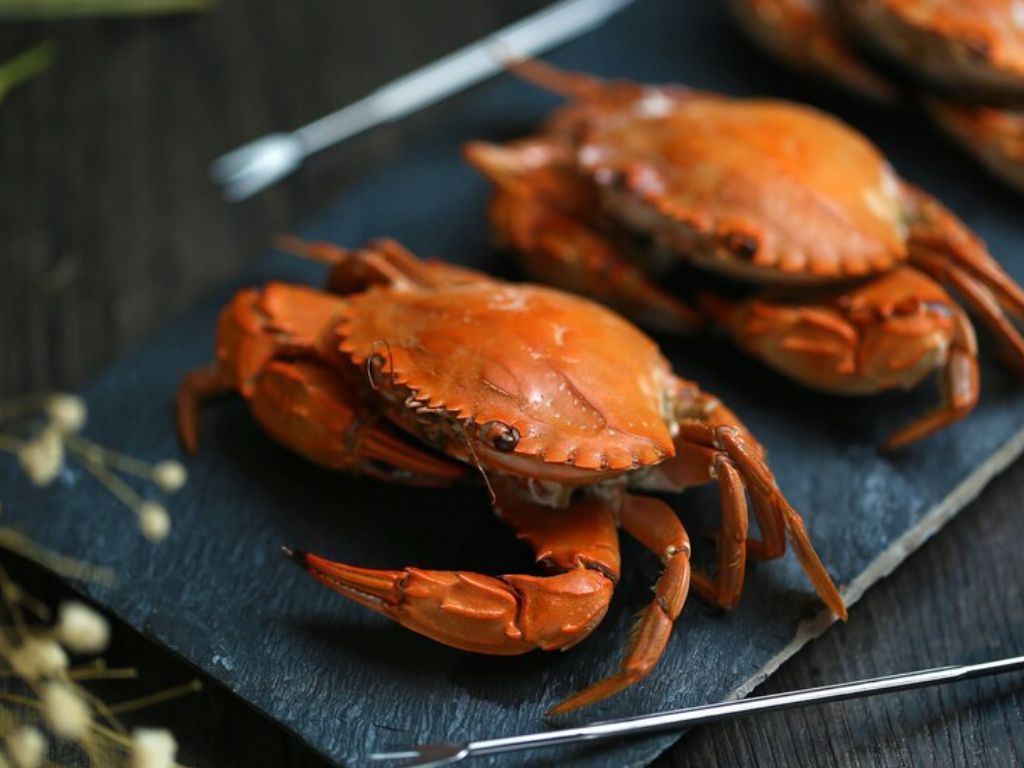 Cara Membersihkan Kepiting dengan Benar Sebelum Dimasak