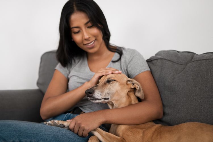 Kabar Baik! Memelihara Anjing Bermanfaat untuk Kesehatan Mental dan Jantung