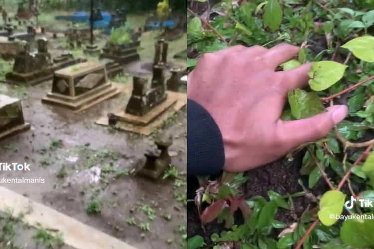 Momen Cowok Nangis Buru-buru ke Makam Ibu Curhat Lulus SNBP, Bikin Netizen Mewek