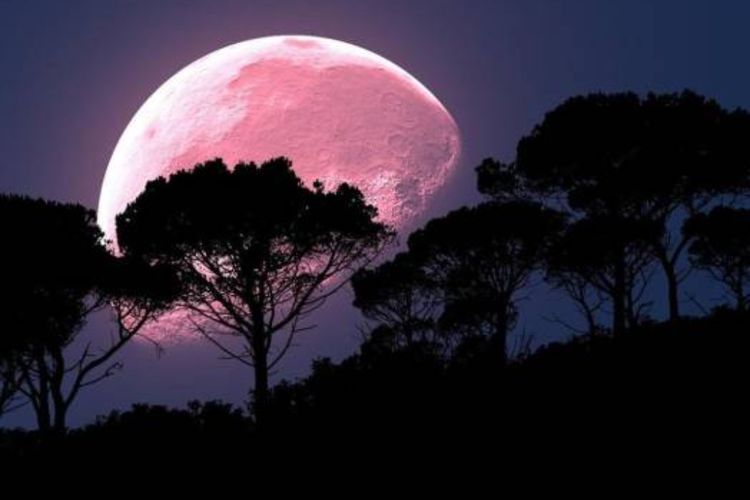 Fenomena Langit Bulan April: Ada Pink Moon hingga Hujan Meteor Lyrids
