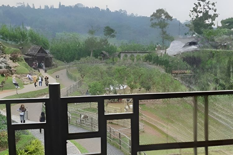 5 Wisata Farm di Bogor yang Seru untuk Liburan Anak di Akhir Pekan Ini