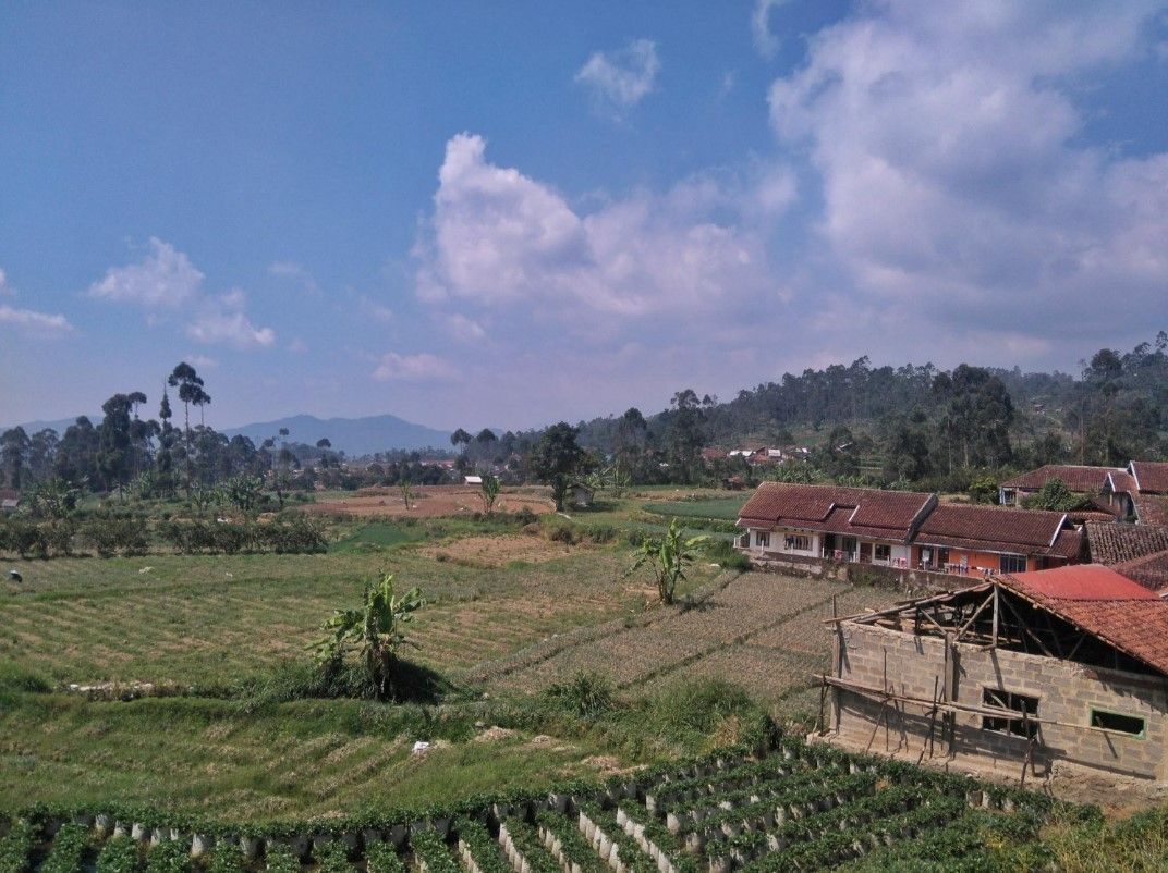 7 Puisi Singkat Tentang Kampung Halaman yang Bikin Rindu Makin Dalam