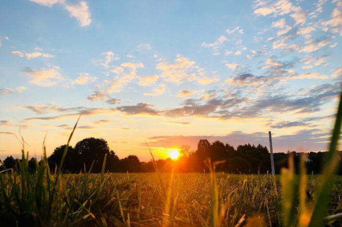 17 Caption Singkat Tentang Sunrise dalam Bahasa Inggris, Bikin Feeds Makin Estetik dan Adem