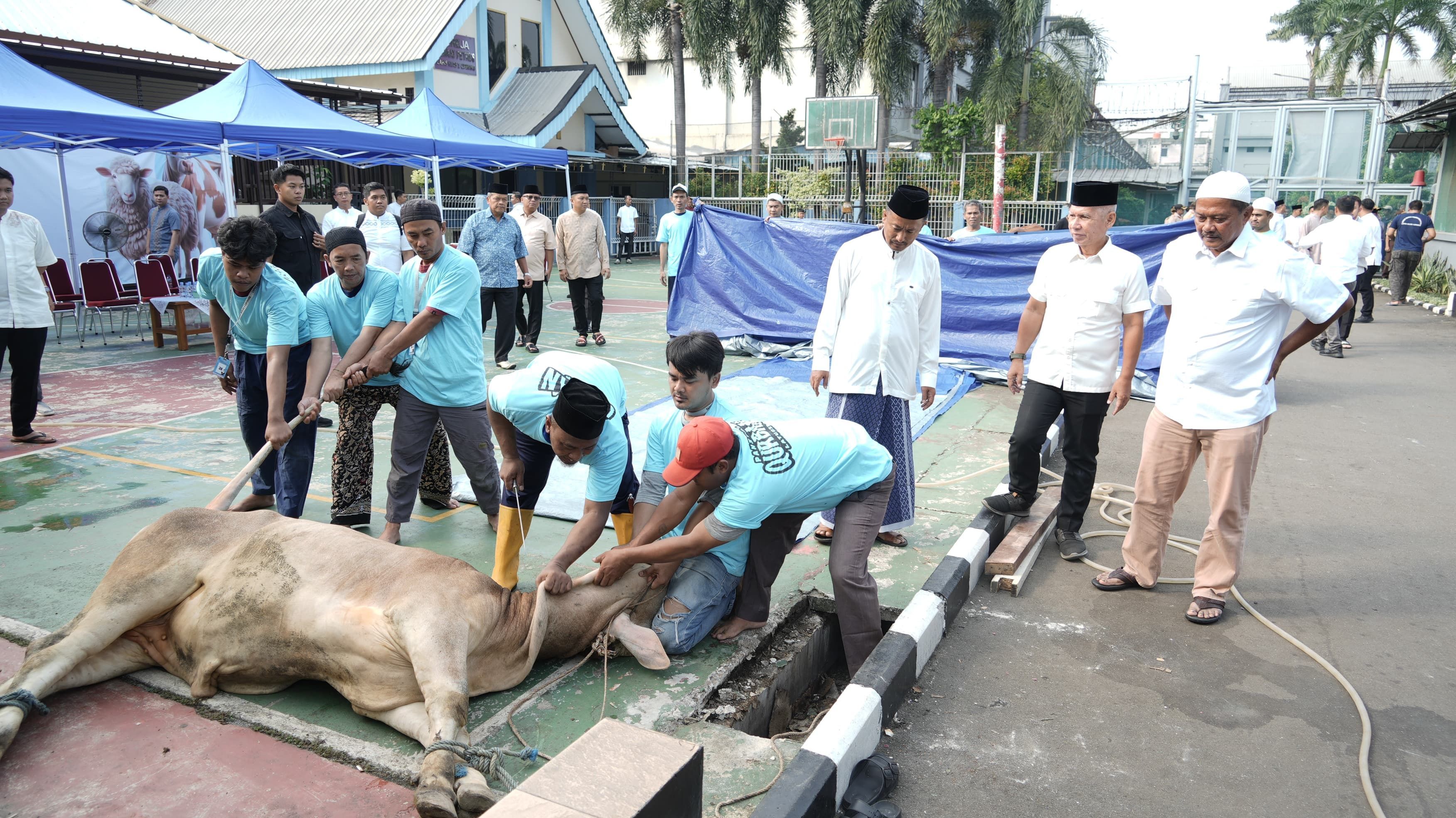 Lebih Baik Kurban untuk Diri Sendiri atau Orang Tua Dulu? Simak Penjelasannya