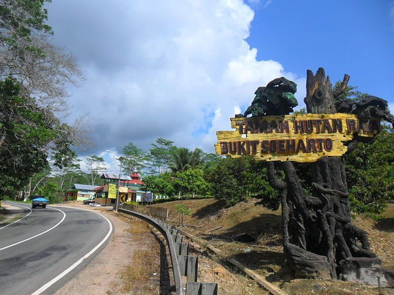 Kisah Mistis dan Arwah Penasaran di Bukit Soeharto: Dari Hantu Tentara Jepang hingga Pria Tua Berubah Jadi Kera Besar