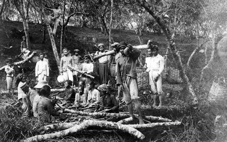 Sejarah Agrarische Wet 1870: Saat Tanah Hindia Belanda Dibuka untuk Investor Asing