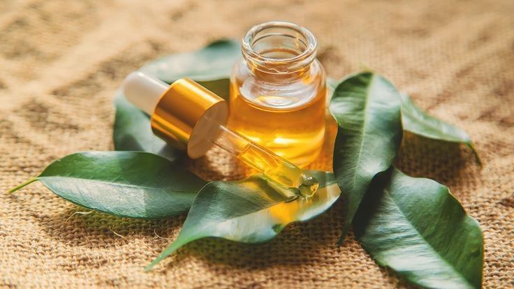 Jerawat Terus Bermunculan Tanpa Henti? Coba Pakai Tea Tree Oil dengan Cara yang Tepat!