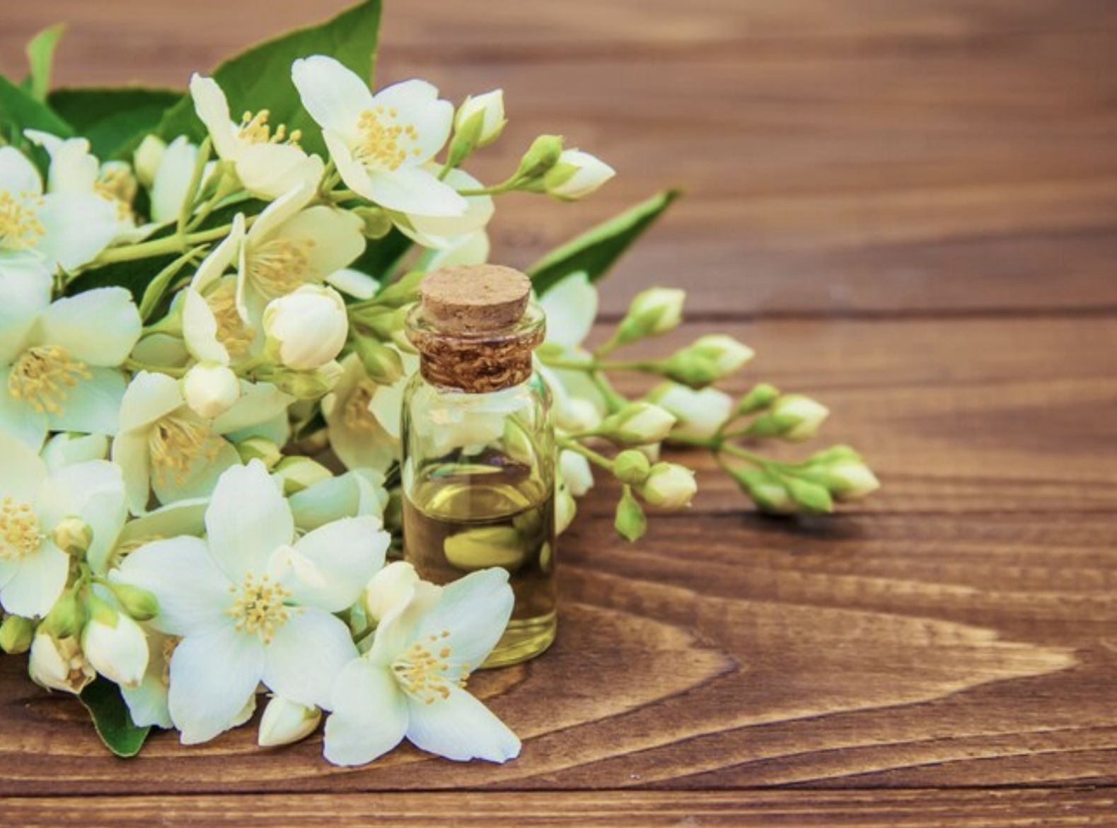 17 Ide Nama Usaha Parfum Melati Kekinian dan Estetik Buat Kamu yang Mau Cuan 