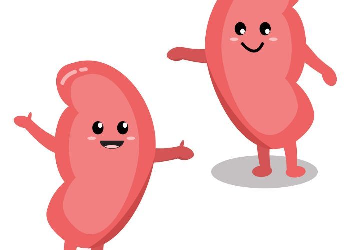 8 Tips Praktis untuk Menjaga Kesehatan Ginjal Anda