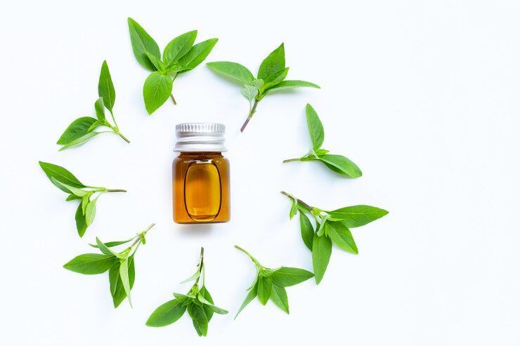 Jerawat Terus Bermunculan Tanpa Henti? Coba Pakai Tea Tree Oil dengan Cara yang Tepat!