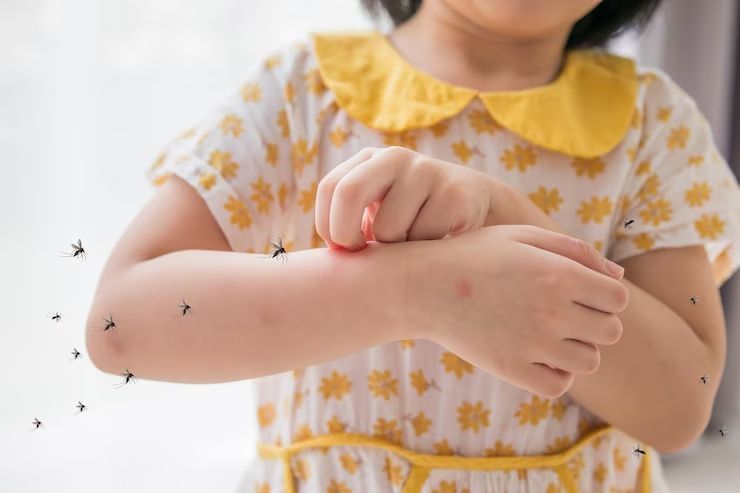 Mengenal Malaria: Penyebab, Cara Penyebaran, dan Faktor Risikonya